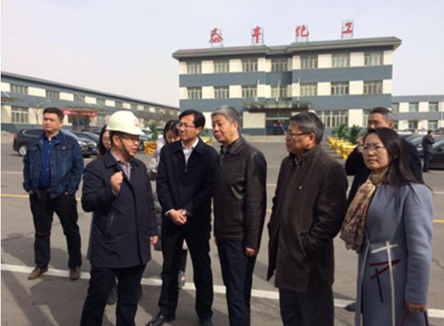 阿拉善高新技術產(chǎn)業(yè)開發(fā)區(qū)創(chuàng)建國家高新區(qū)工作正式啟動