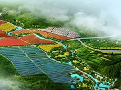 鄭州市工信局：積極構(gòu)建管城區(qū)、經(jīng)開區(qū)、中牟縣“兩區(qū)一縣”氫燃料電池汽車
