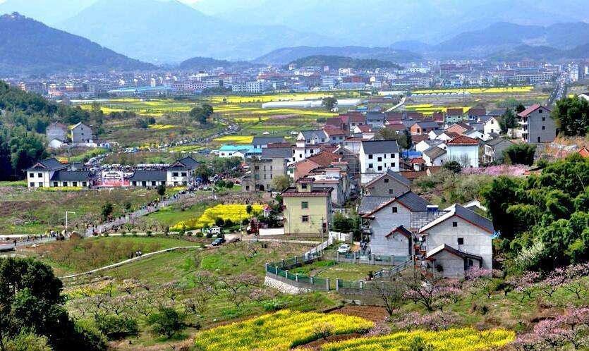 馬曉河 涂圣偉:實(shí)現(xiàn)農(nóng)民富、農(nóng)業(yè)強(qiáng)、農(nóng)村美的路線圖
