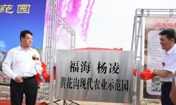 新疆福?？h攜手楊凌高新區(qū)打造中國高緯度農(nóng)業(yè)示范基地