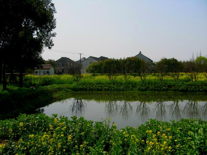上海鄉(xiāng)村振興，建設(shè)美麗綠色幸福“三園”