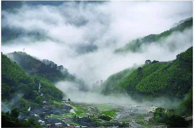 四、農(nóng)村一二三產(chǎn)業(yè)融合發(fā)展先導(dǎo)區(qū)項(xiàng)目