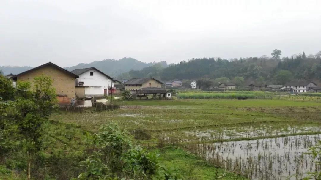 農(nóng)村土地確權(quán)結(jié)束，沒登記的四荒地如何處理？