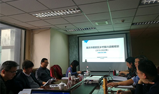 問(wèn)診專家，繪制龍鄉(xiāng)銅梁鄉(xiāng)村振興新藍(lán)圖