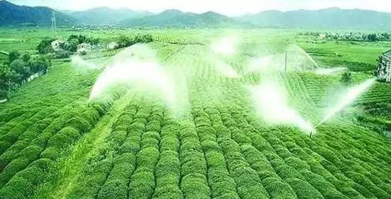 重磅！2019中央一號(hào)文件即將發(fā)布！大農(nóng)業(yè)領(lǐng)域迎來新機(jī)遇