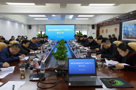 湘雁輸變電產(chǎn)業(yè)服務(wù)中心在長沙成立，湖南輸變電產(chǎn)業(yè)開啟發(fā)展新篇章