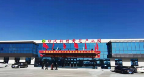 大同黃花，忘憂云州——云州區(qū)積極申創(chuàng)國家農(nóng)業(yè)現(xiàn)代化示范區(qū)