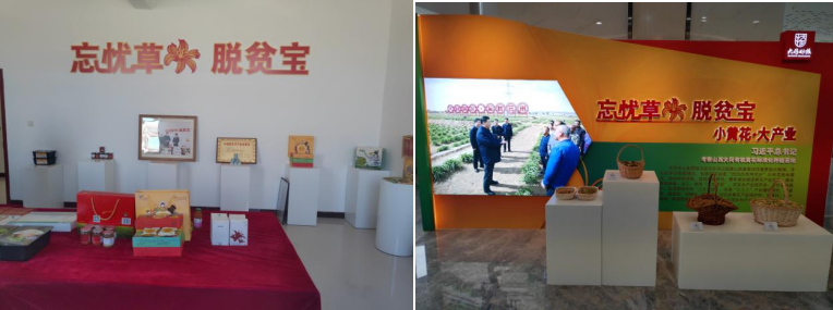打造農(nóng)業(yè)綠色發(fā)展典范，云州區(qū)創(chuàng)建國家農(nóng)業(yè)綠色發(fā)展先行區(qū)勢(shì)在必行