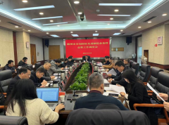 頂層設計，謀篇布局——我院助力郴州市申報創(chuàng)建國家戰(zhàn)略金屬新材料先進制造