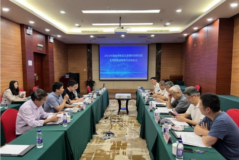 《培育發(fā)展湘潭市、婁底市、衡陽(yáng)市先進(jìn)鋼鐵材料集群實(shí)施方案》獲專家高度評(píng)