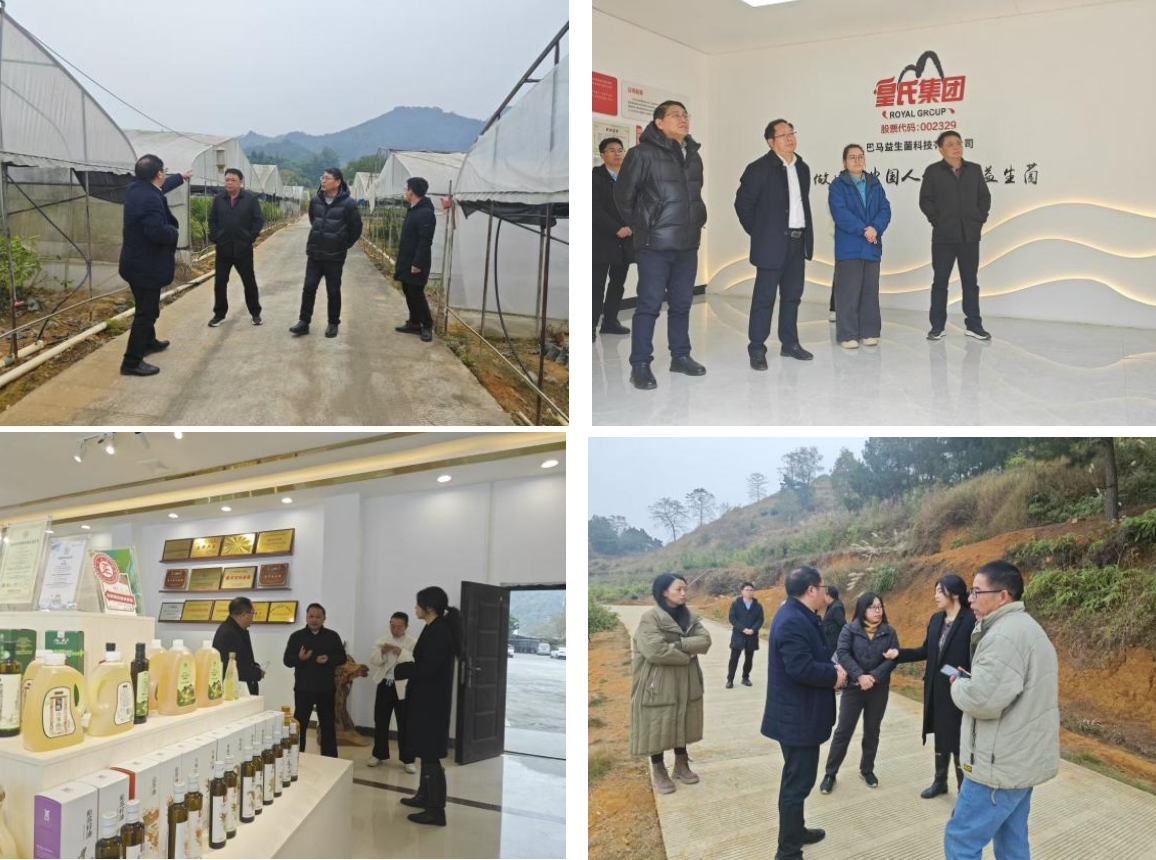 長壽之鄉(xiāng)，逐路之行——高新院專家組一行赴廣西巴馬瑤族自治縣開展河池農(nóng)高區(qū)創(chuàng)建調(diào)研